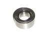 Radlager Wheel Bearing:1387 203