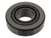 Wheel Bearing:81.93420.6055