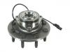 комплекс ступичного подшипника Wheel Hub Bearing:52010206AC