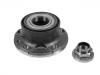 Cubo de rueda Wheel Hub Bearing:46531237