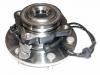 комплекс ступичного подшипника Wheel Hub Bearing:43202-7S000